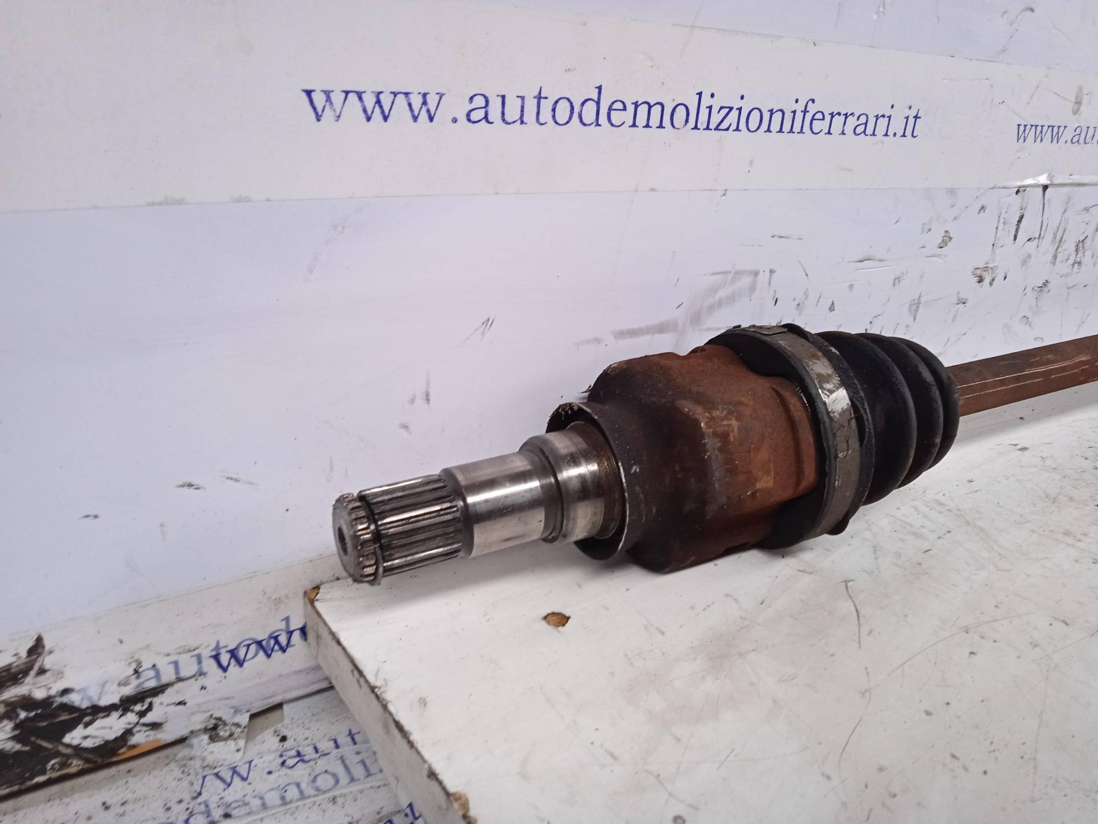 Semialbero ant. compl. dx.